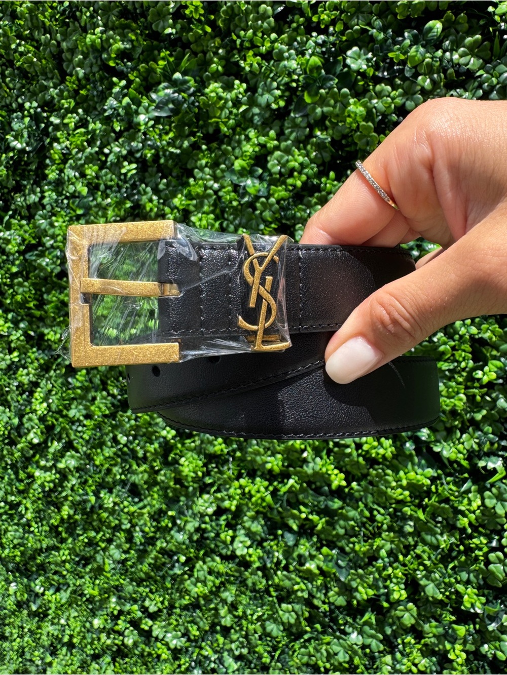 Black Leather Belt with Gold YSL Buckle